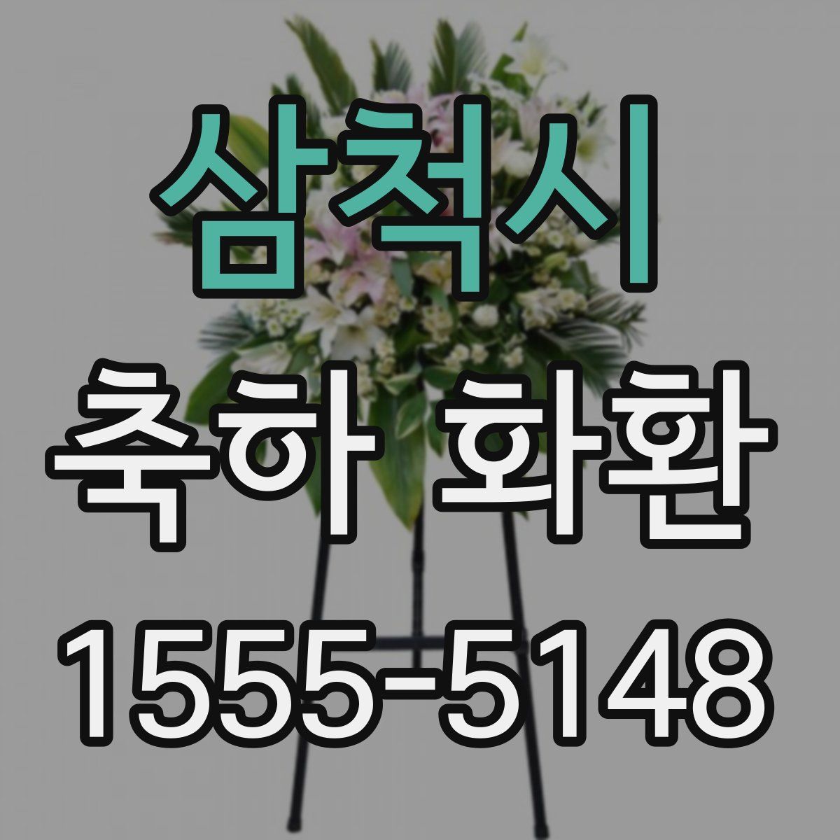 삼척시 축하 화환