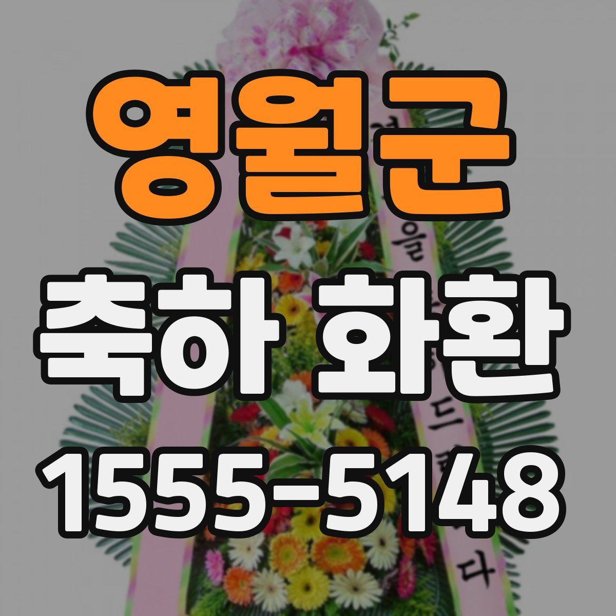 영월군 축하 화환