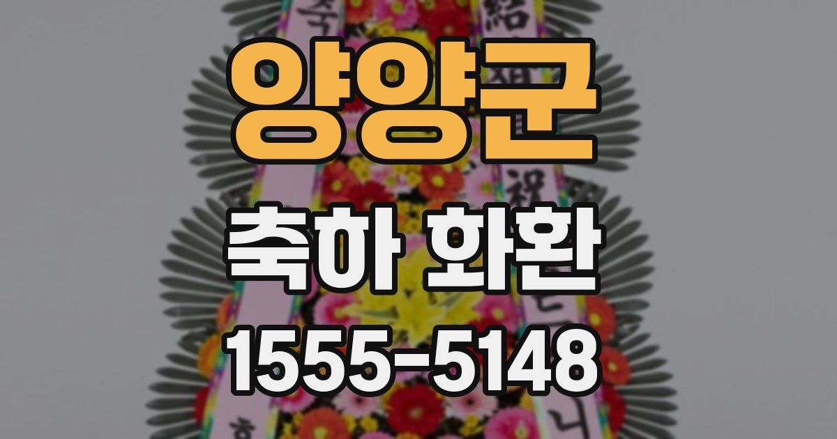 양양군 축하 화환