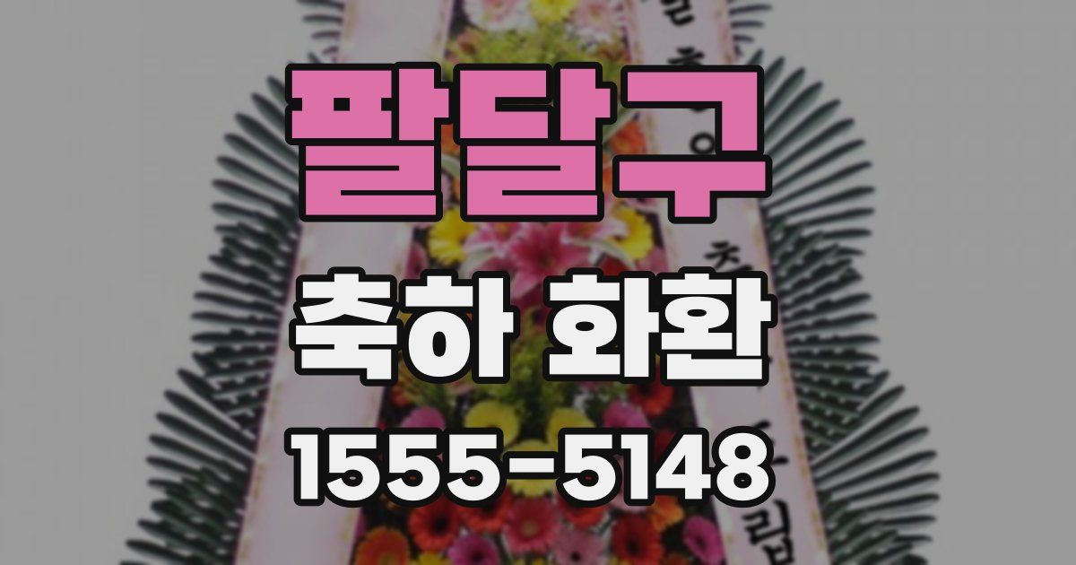 팔달구 축하 화환