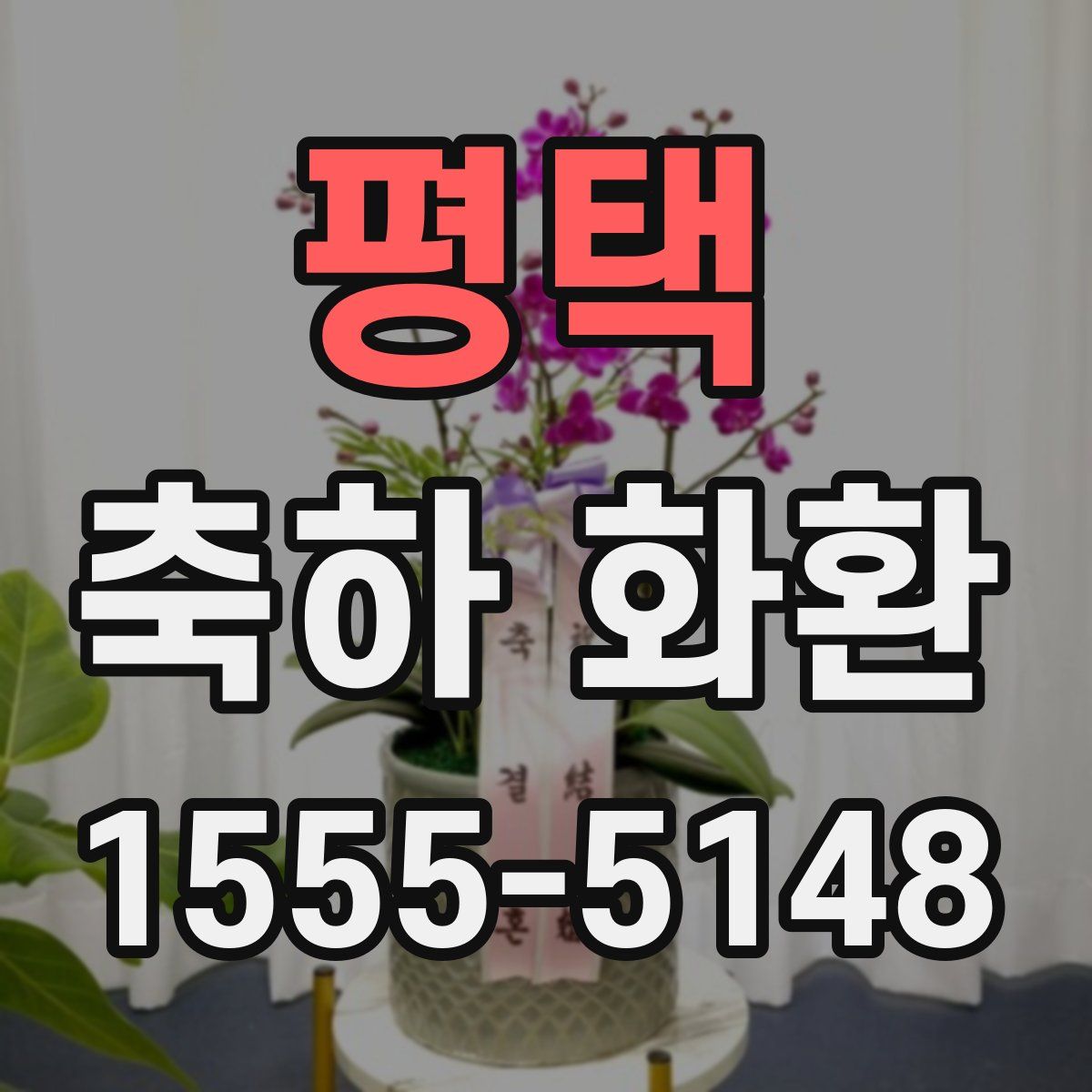 평택 축하 화환