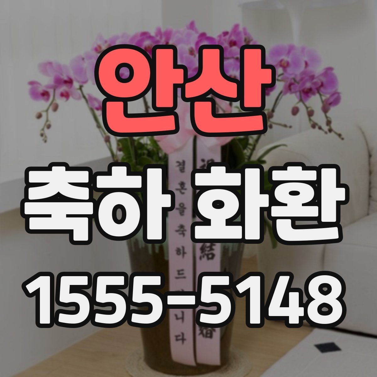 안산 축하 화환 비교 포인트를 한눈에 정리