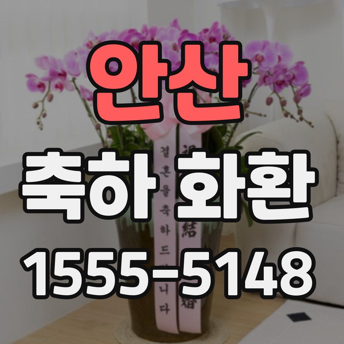 안산 축하 화환