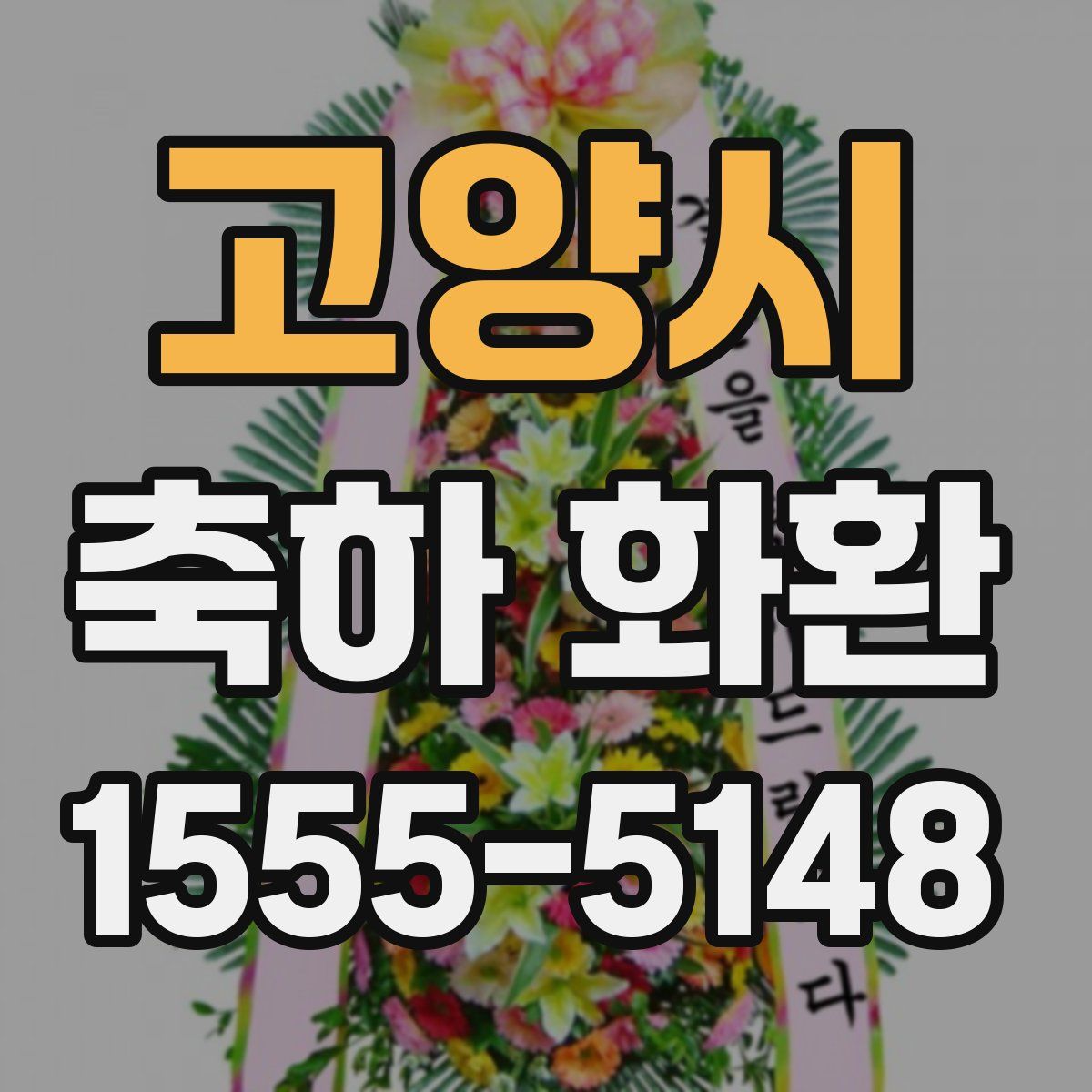 고양시 축하 화환