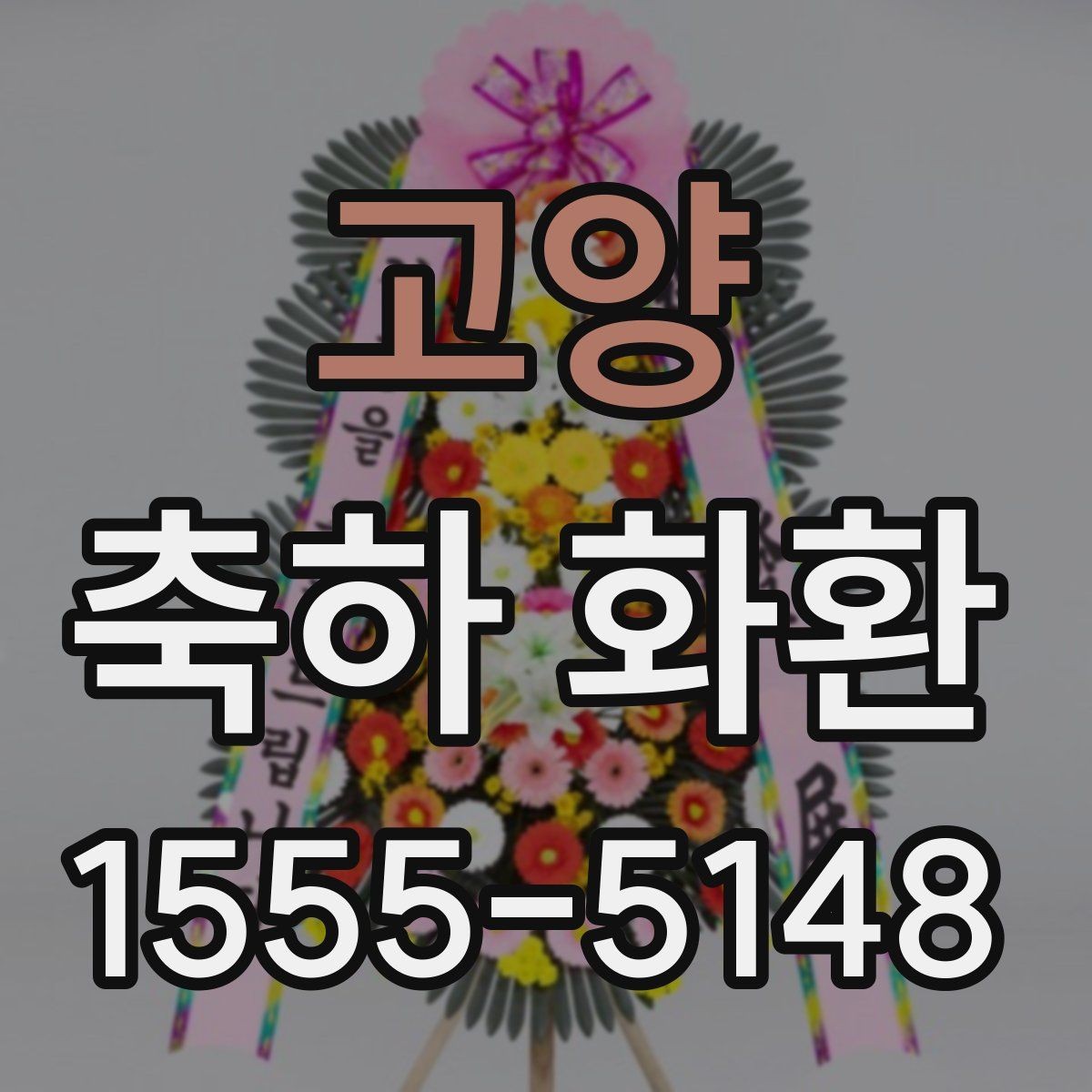 고양 축하 화환 적절한 문구 고르기