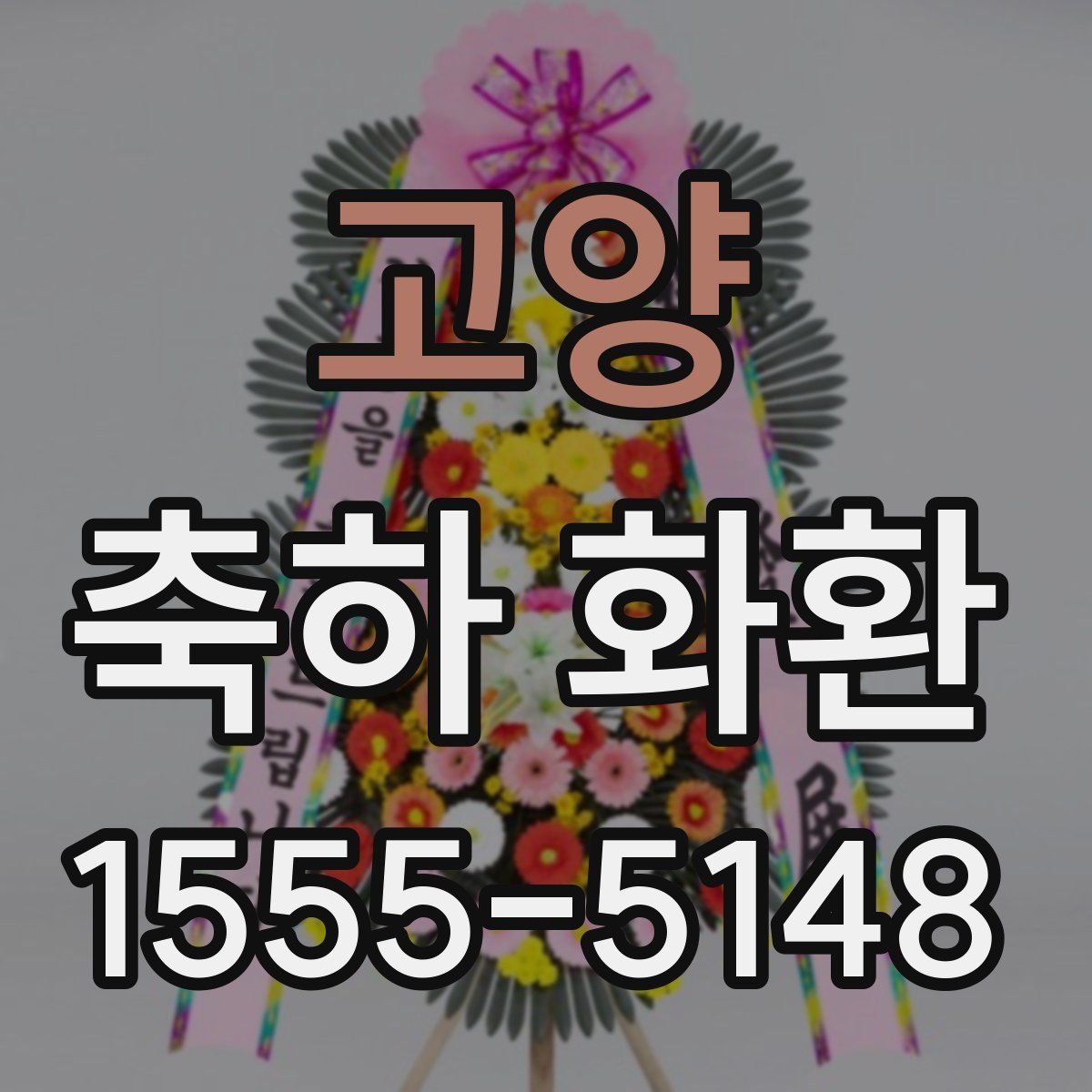 고양 축하 화환
