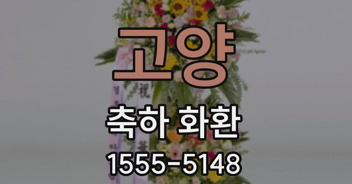 고양 축하 화환