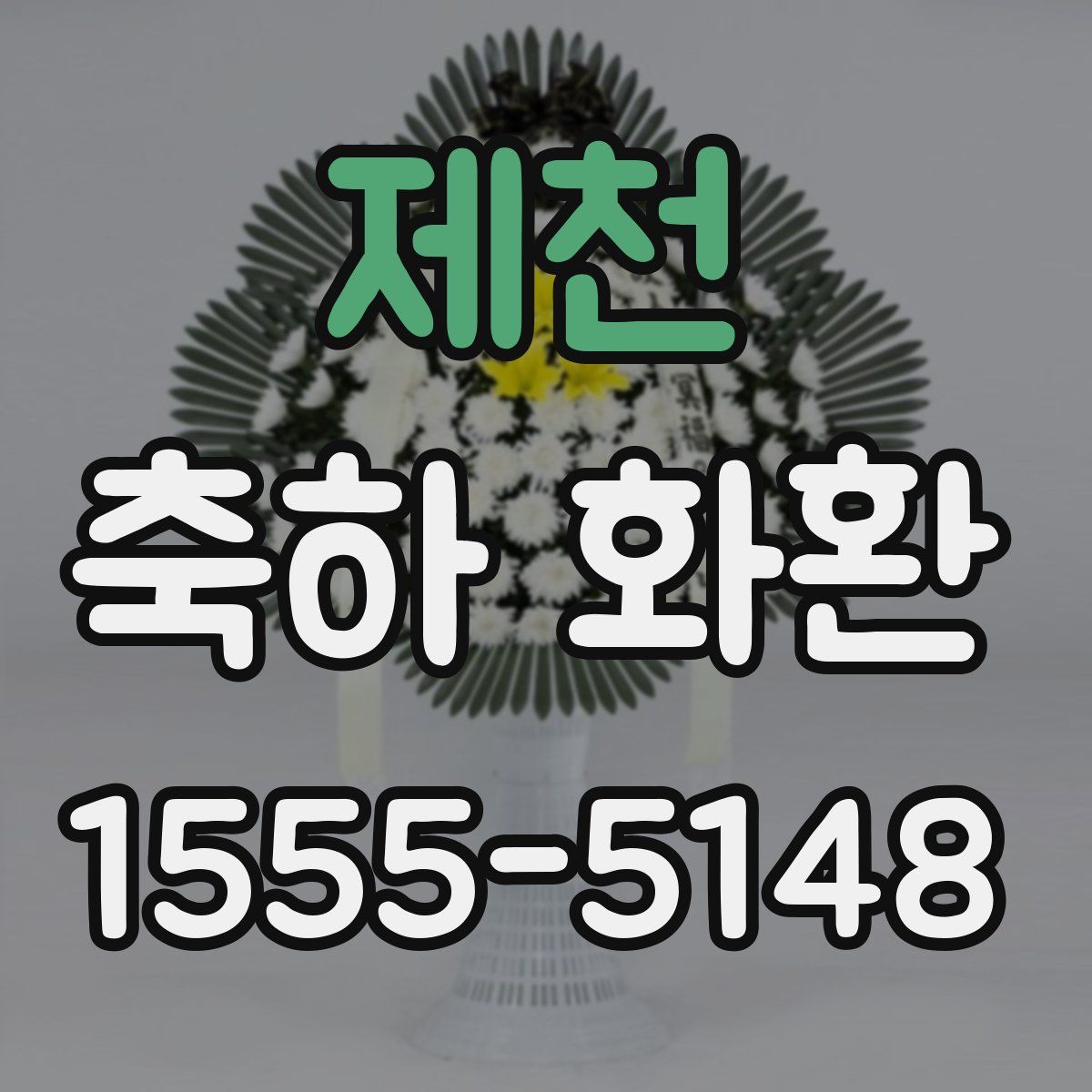 제천 축하 화환