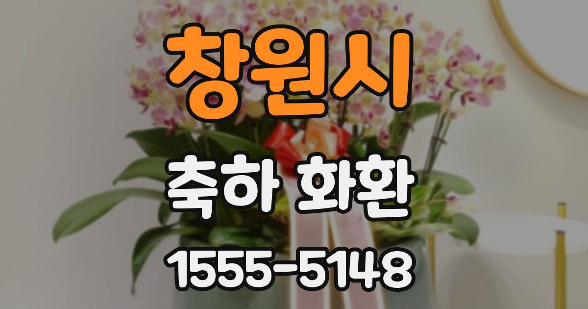 창원시 축하 화환