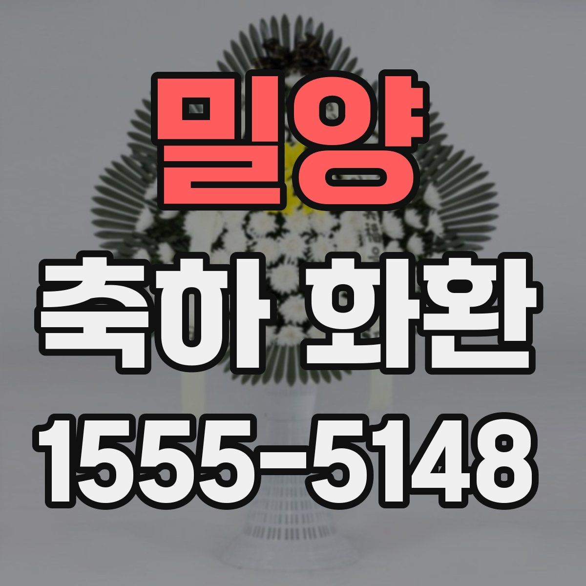 밀양 축하 화환