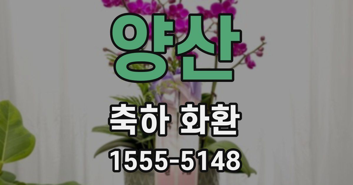 양산 축하 화환