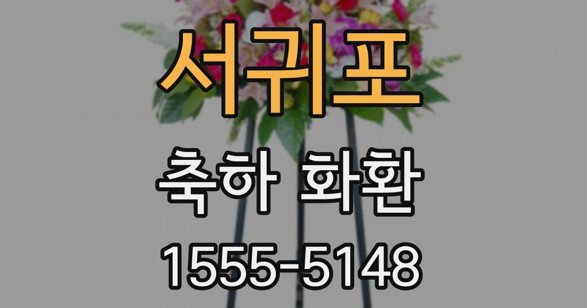 서귀포 축하 화환