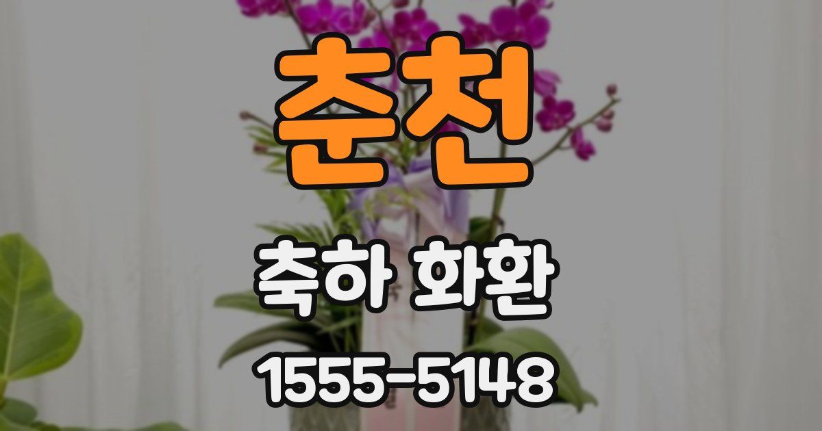 춘천 축하 화환