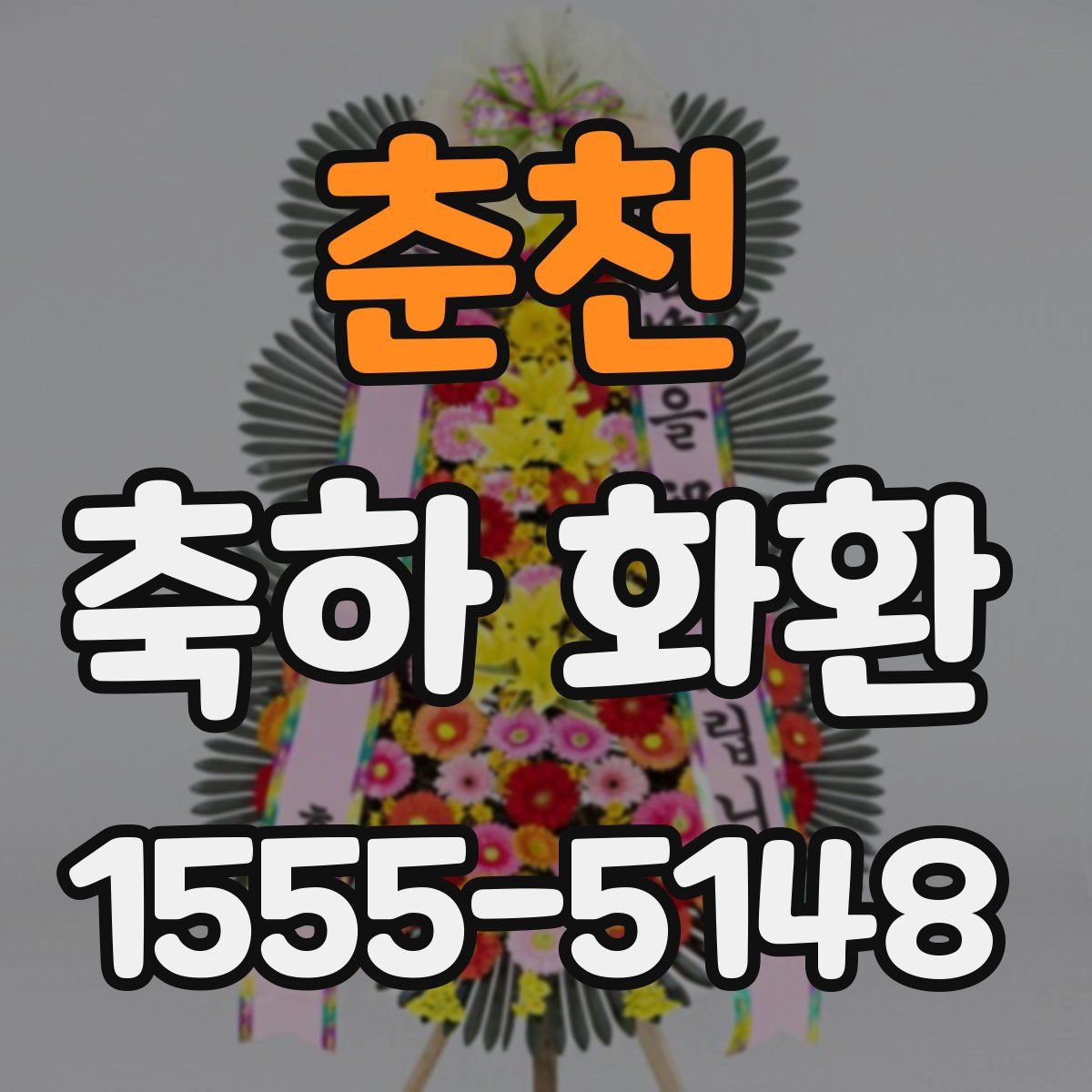 춘천 축하 화환