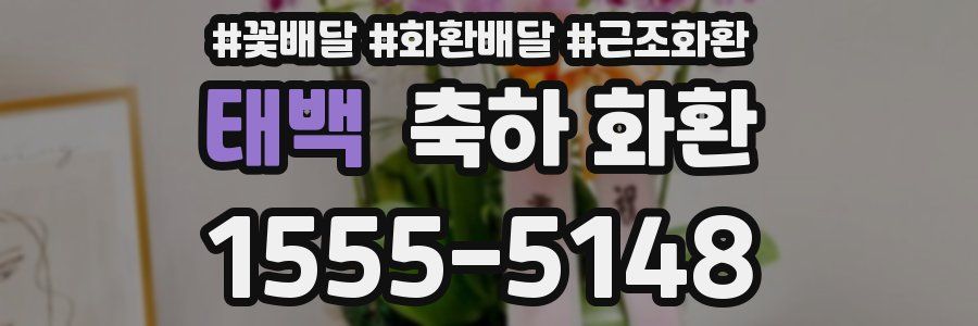 태백 축하 화환