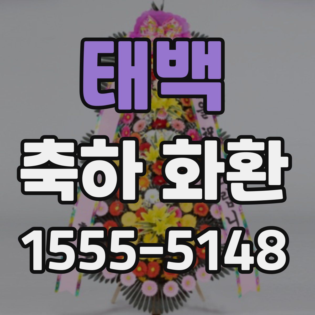 태백 축하 화환