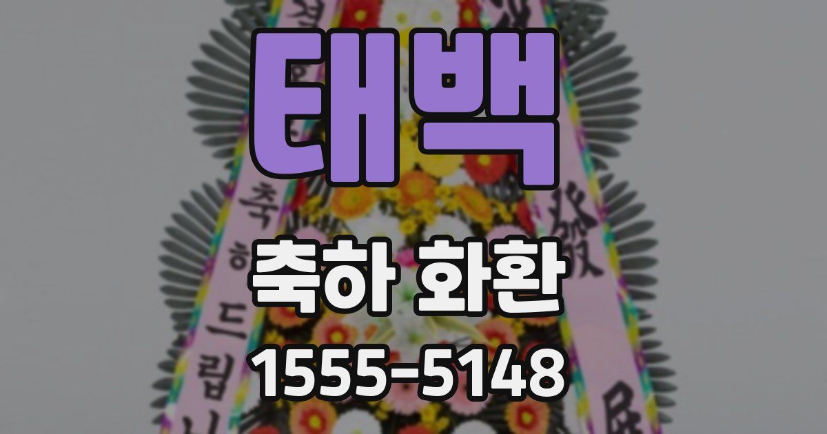 태백 축하 화환