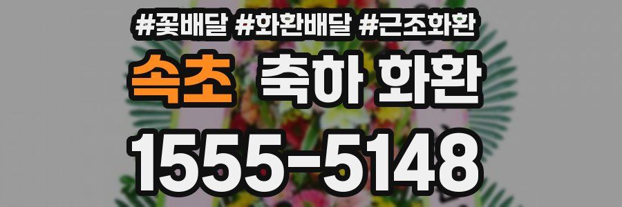 속초 축하 화환