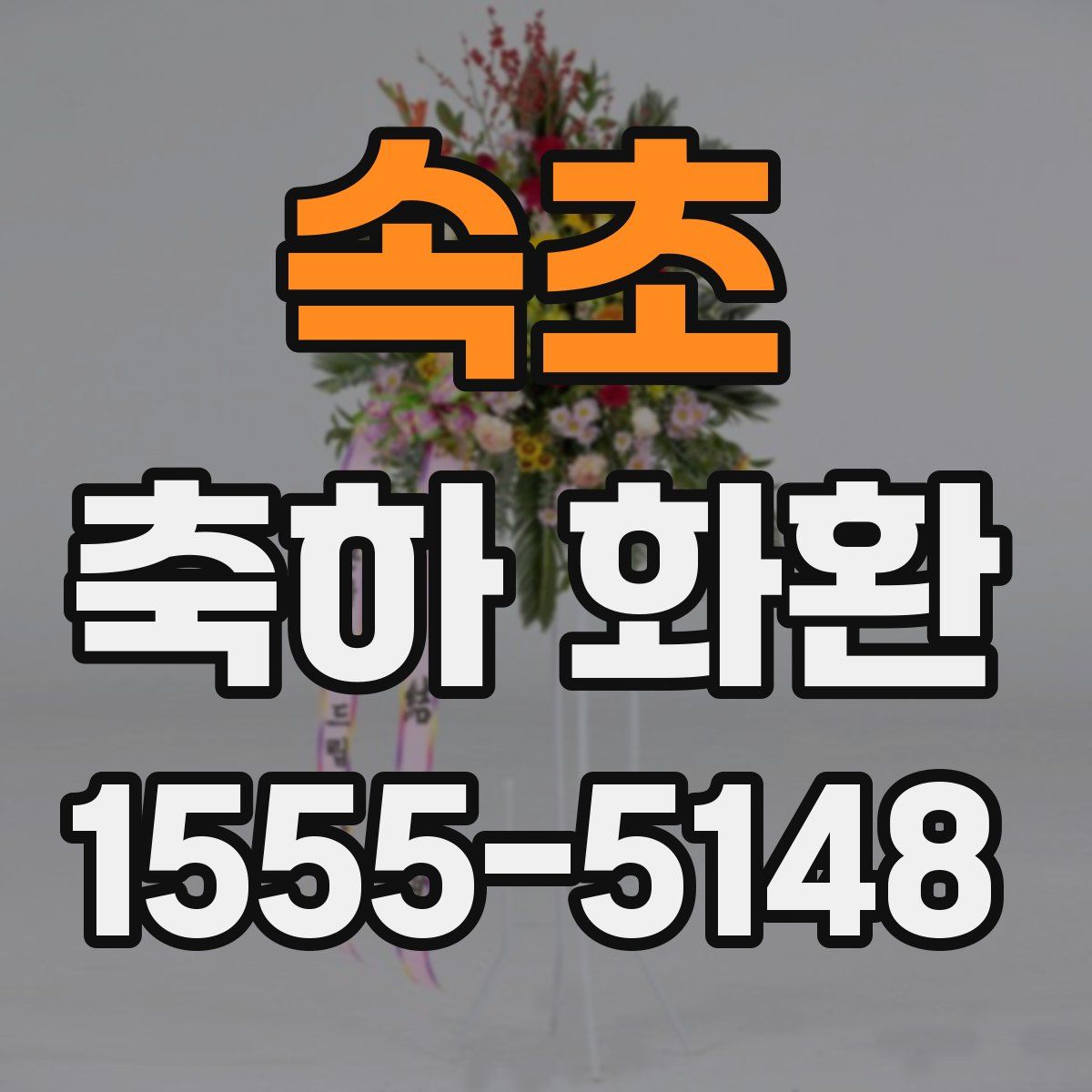 속초 축하 화환