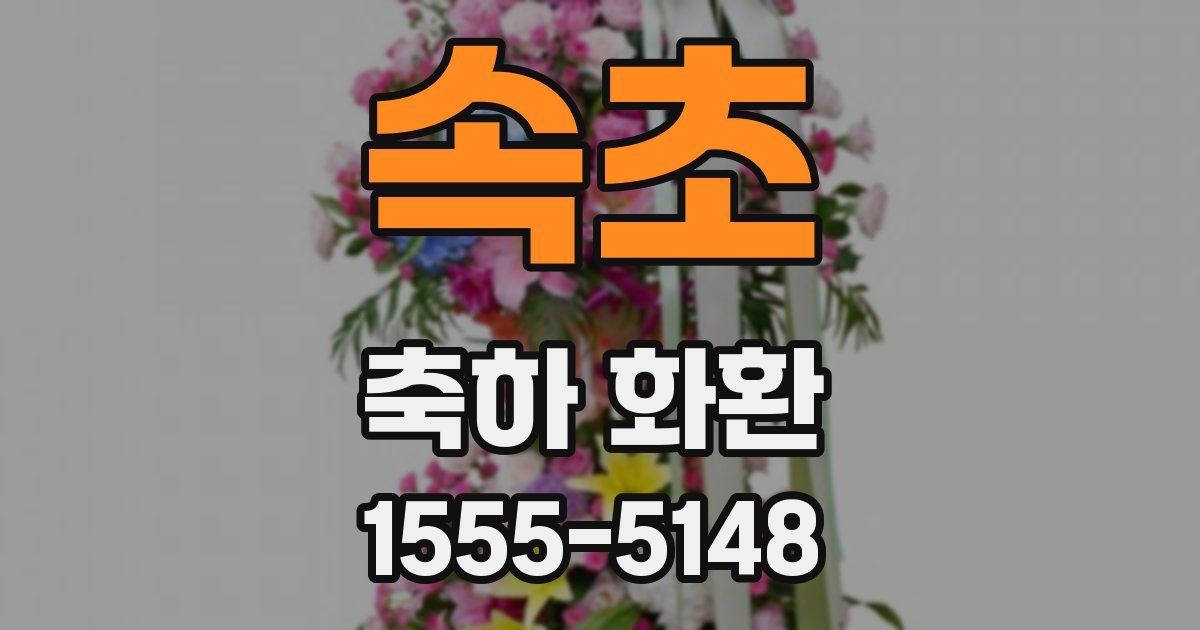 속초 축하 화환