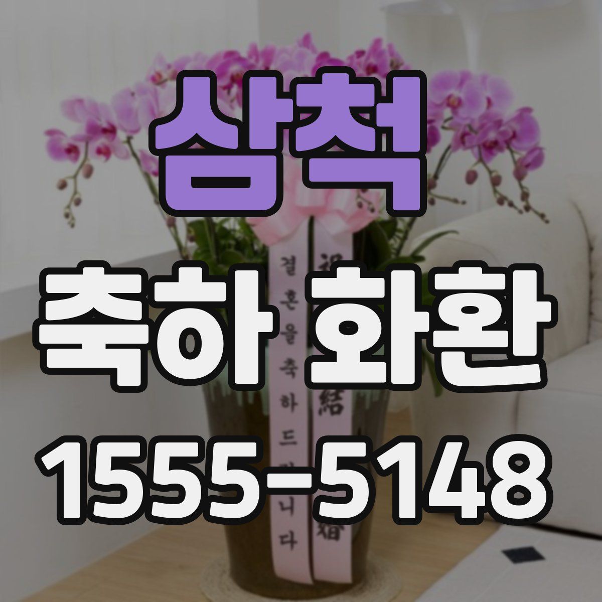 삼척 축하 화환