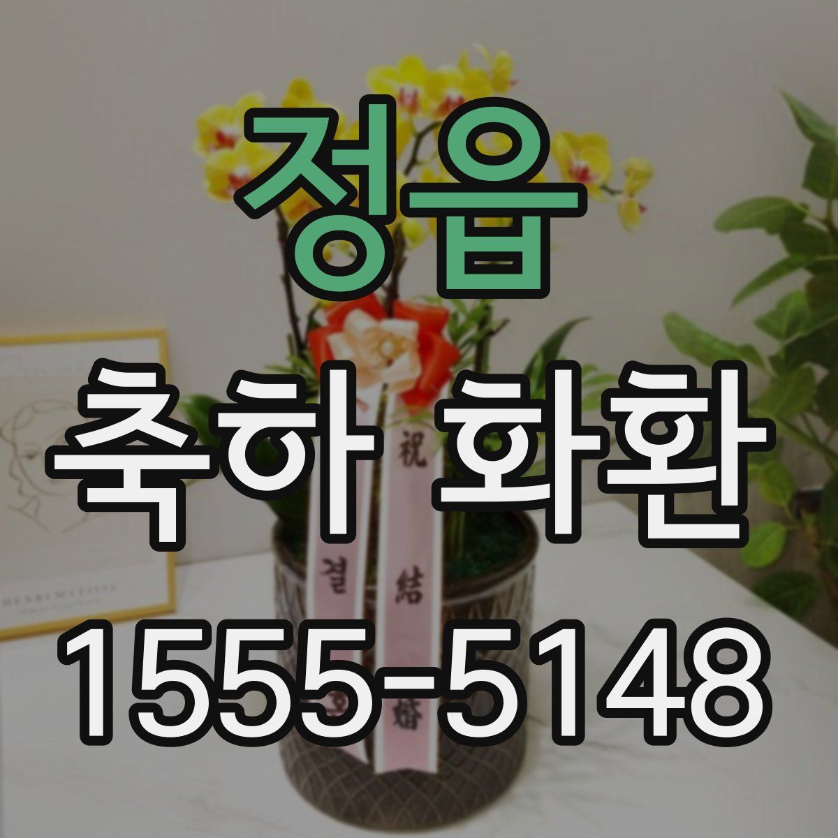 정읍 축하 화환