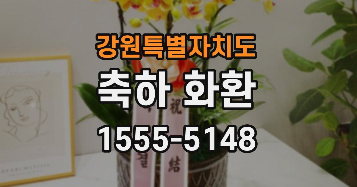 강원특별자치도 축하 화환