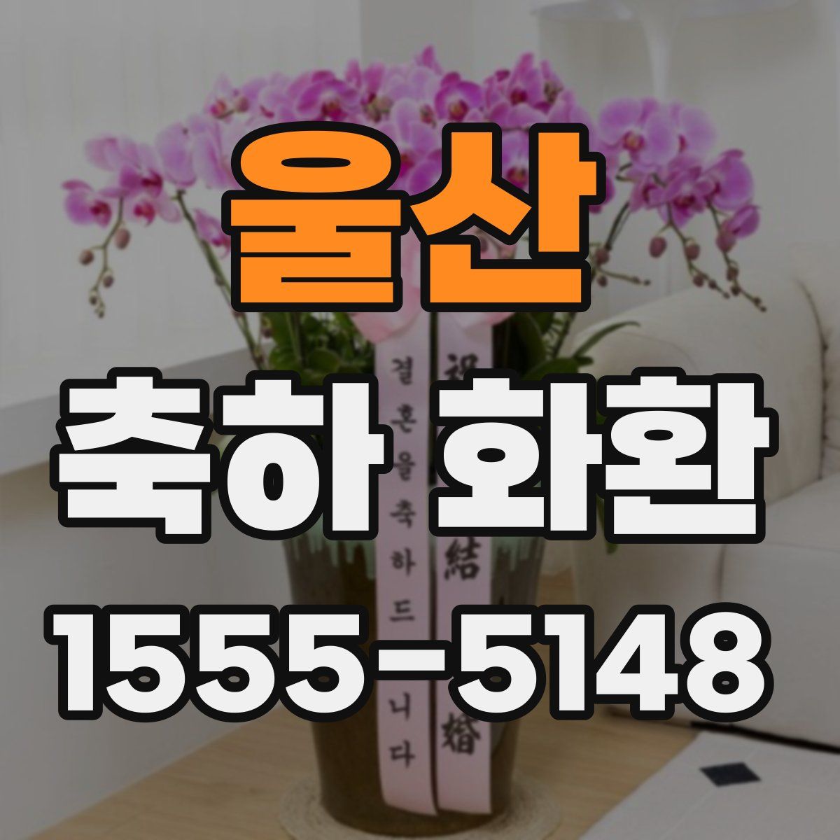 울산 축하 화환