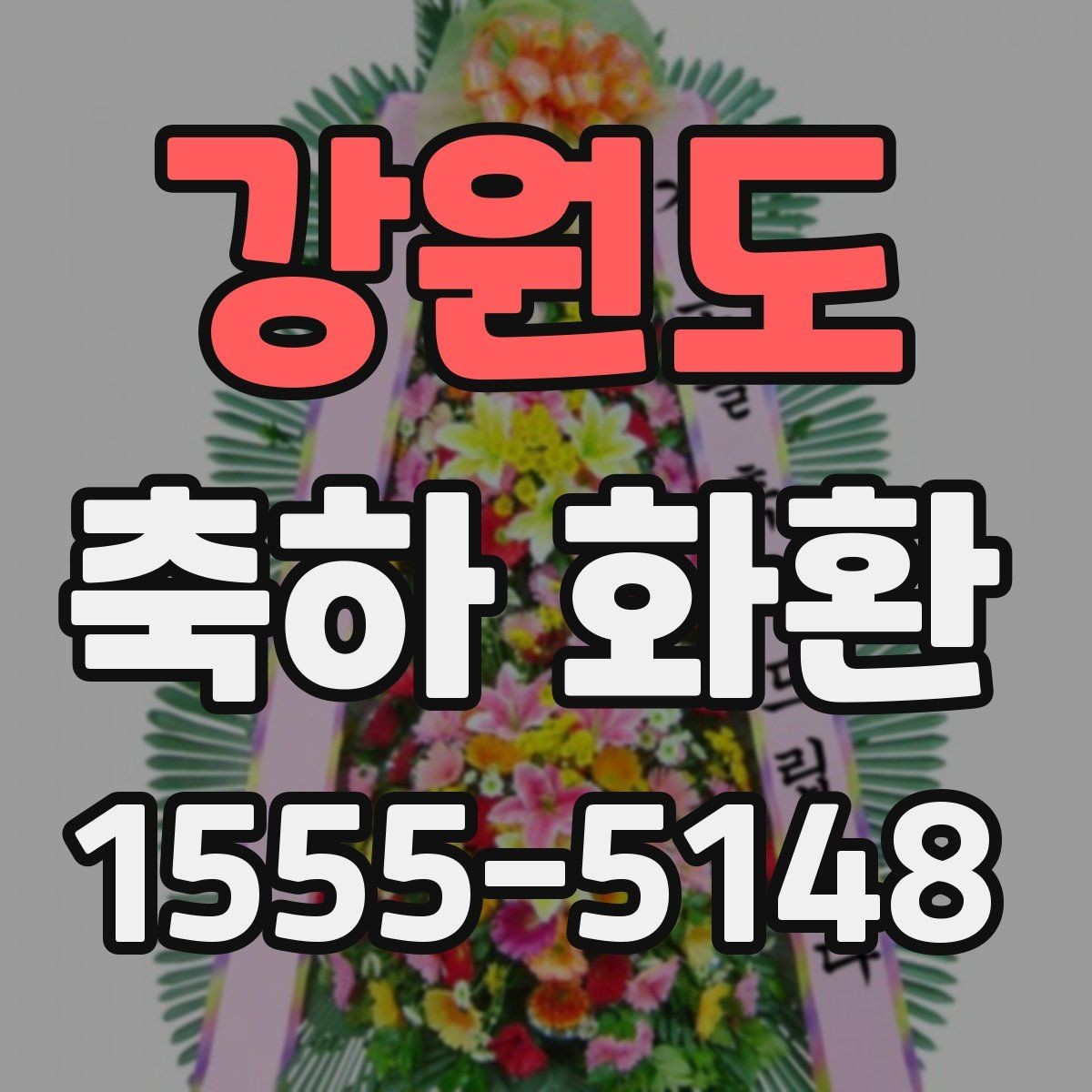 강원도 축하 화환 가격대별 구성 살펴보기