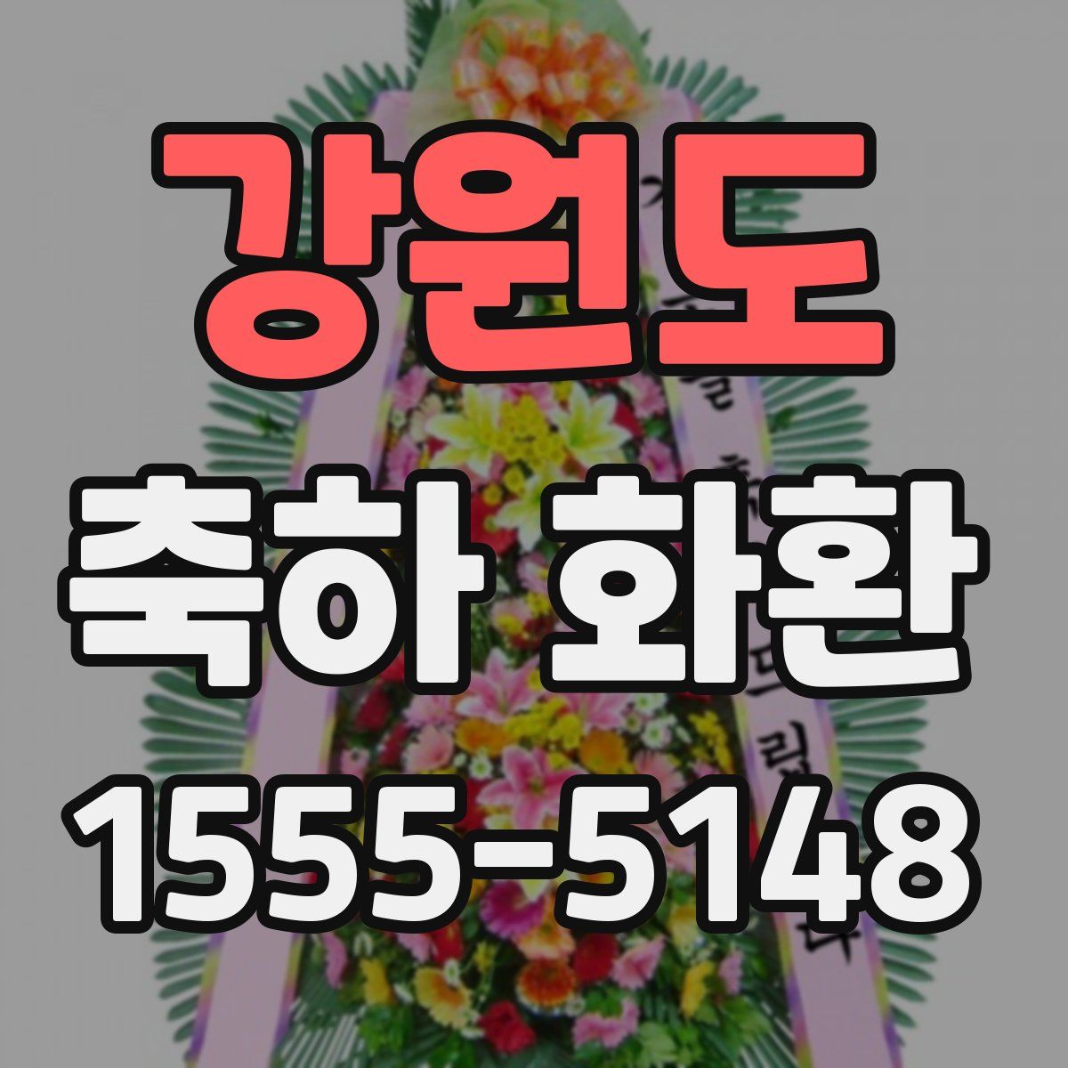 강원도 축하 화환