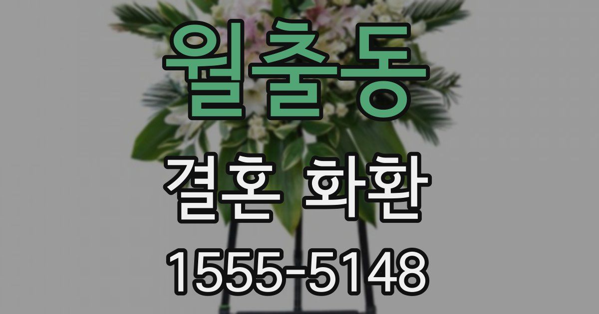 월출동 결혼 화환