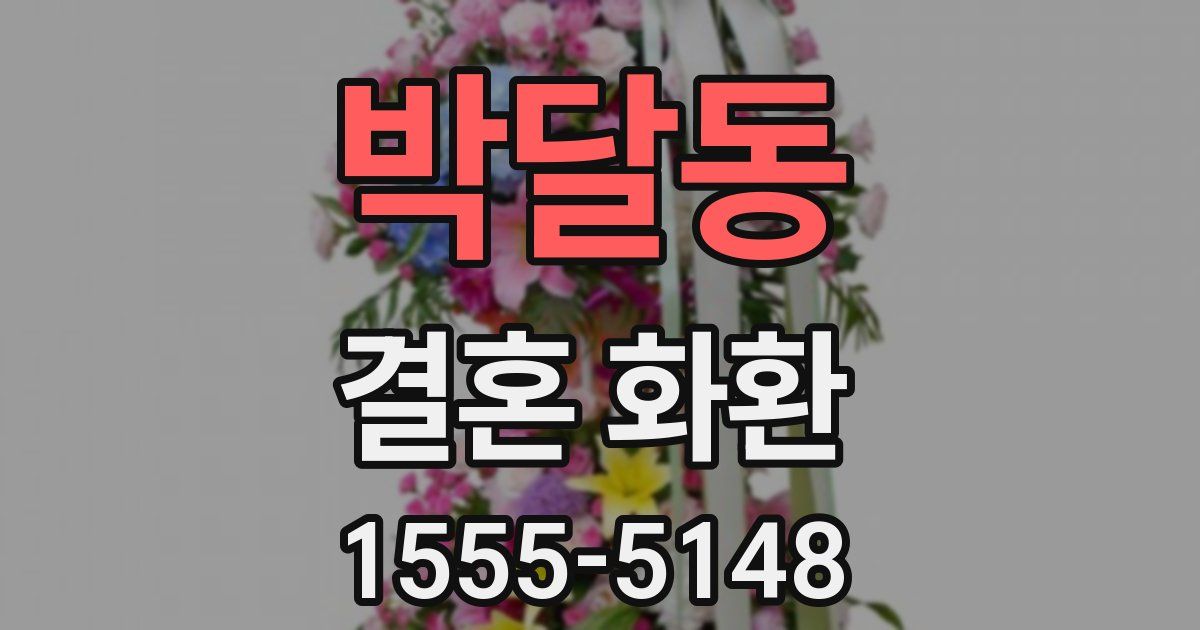 박달동 결혼 화환