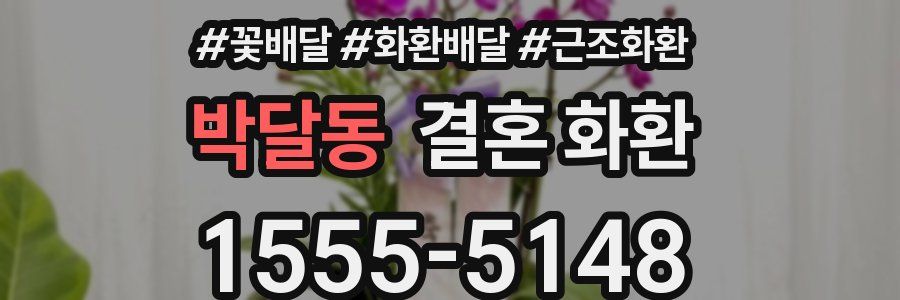 박달동 결혼 화환