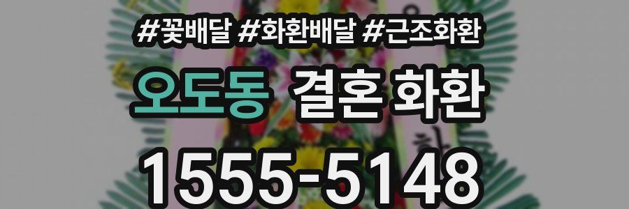 오도동 결혼 화환