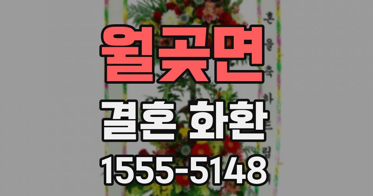월곶면 결혼 화환