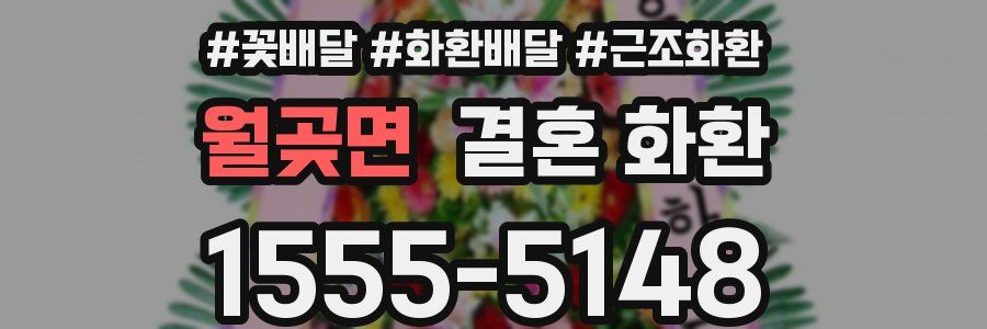 월곶면 결혼 화환