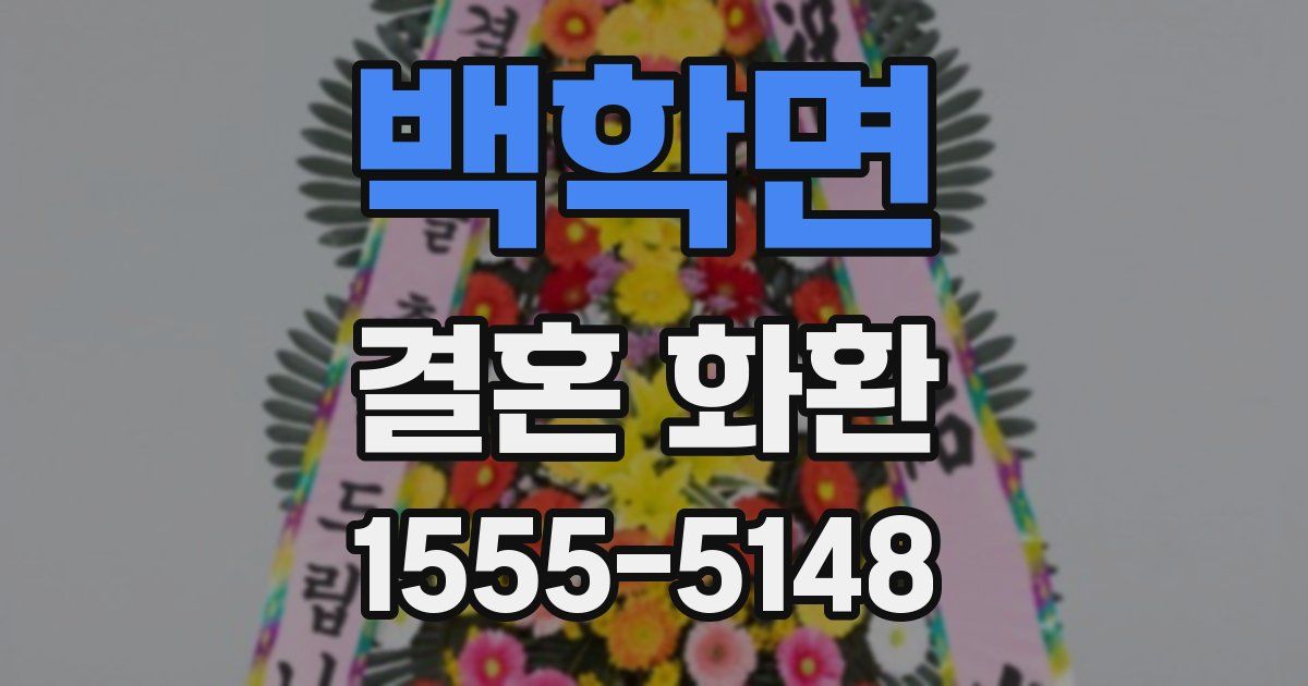 백학면 결혼 화환