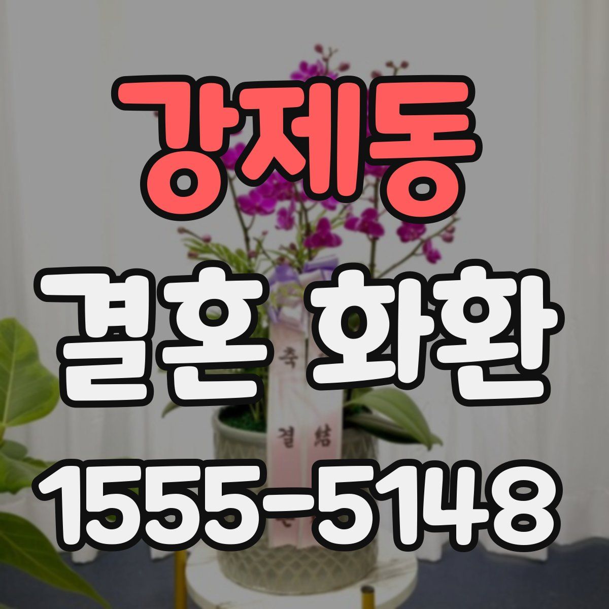 강제동 결혼 화환