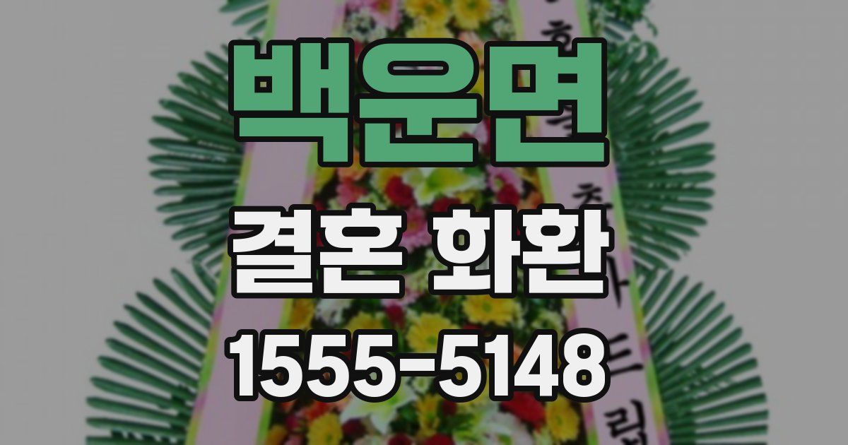 백운면 결혼 화환