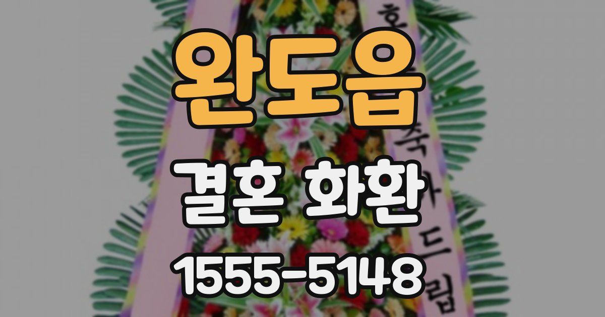 완도읍 결혼 화환