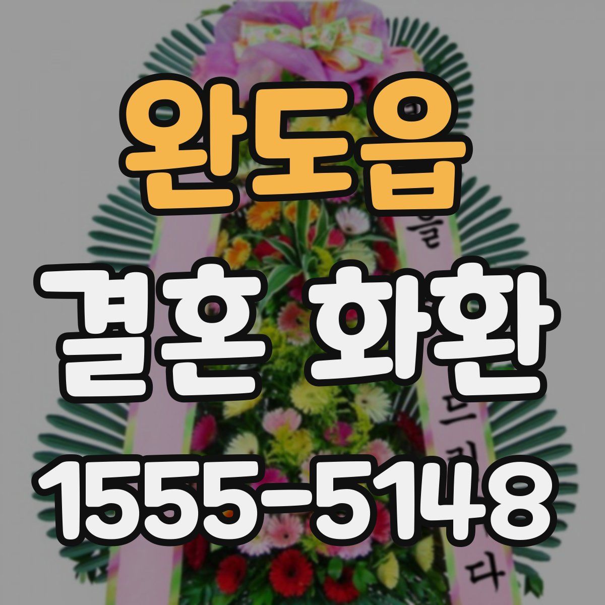 완도읍 결혼 화환
