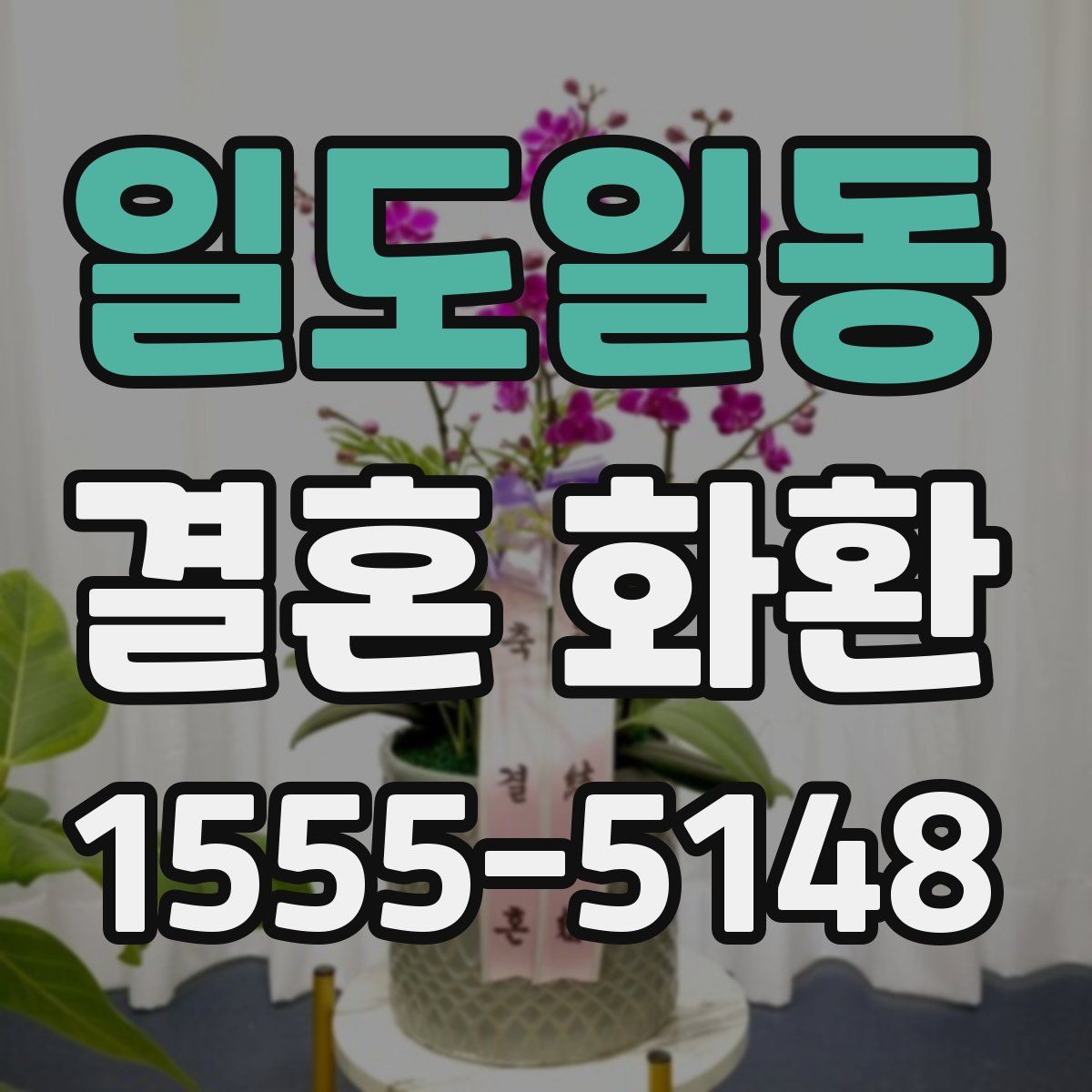 일도일동 결혼 화환
