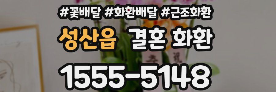 성산읍 결혼 화환