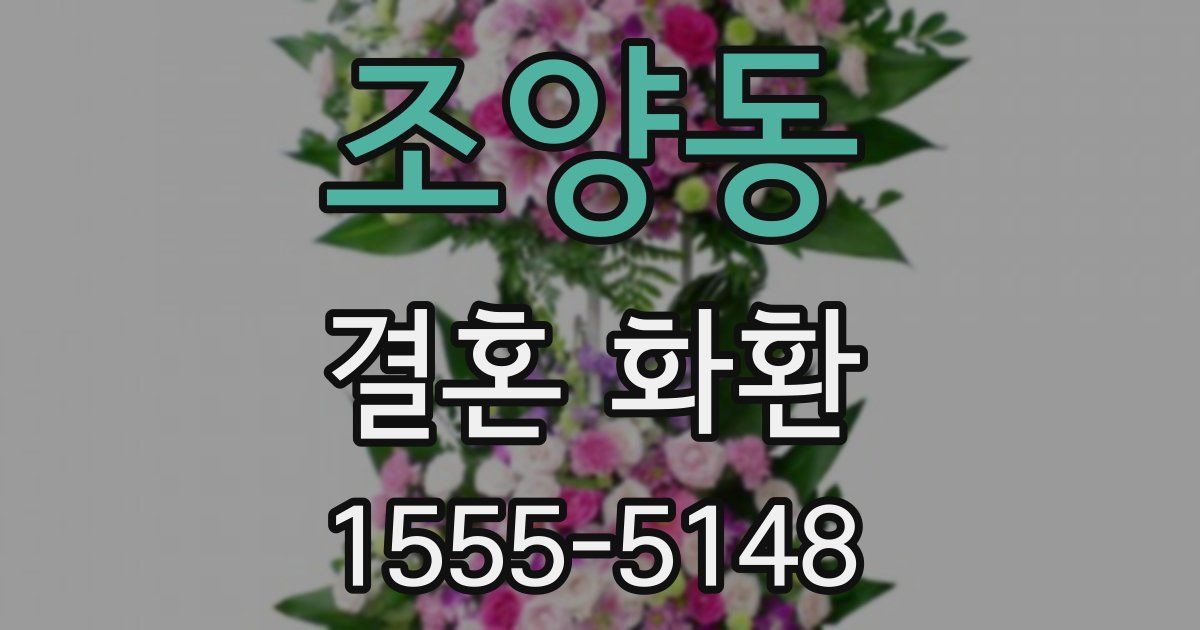 조양동 결혼 화환