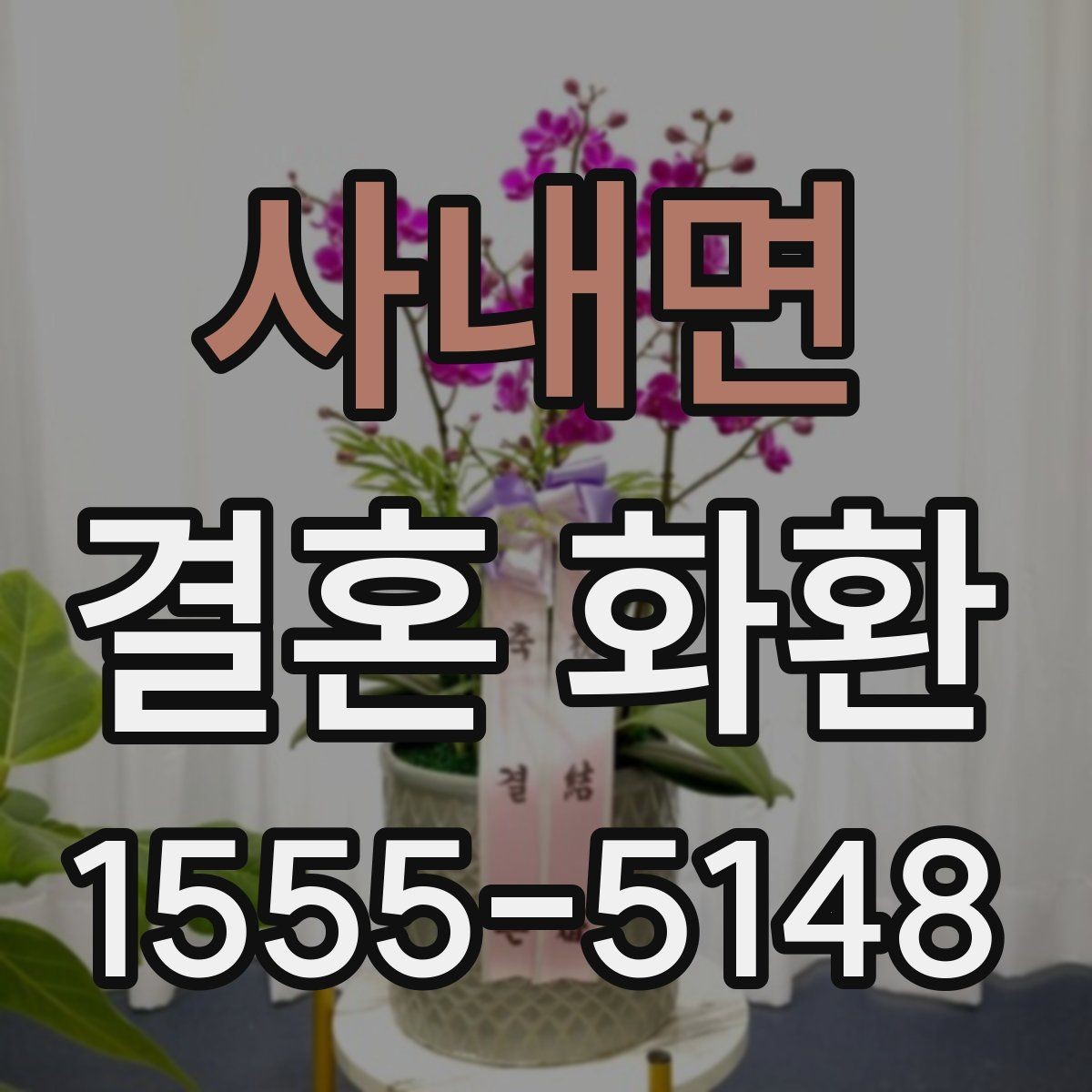 사내면 결혼 화환 축하 분위기에 어울리는 표현 모음