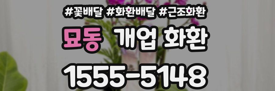 묘동 개업 화환