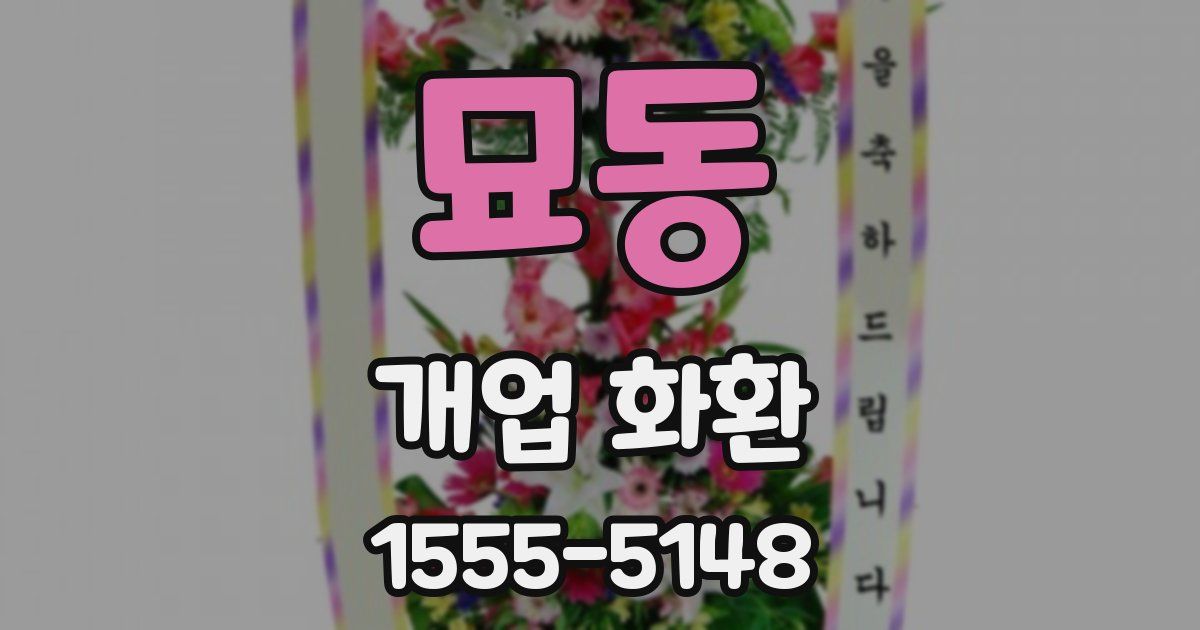 묘동 개업 화환