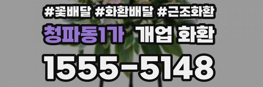 청파동1가 개업 화환