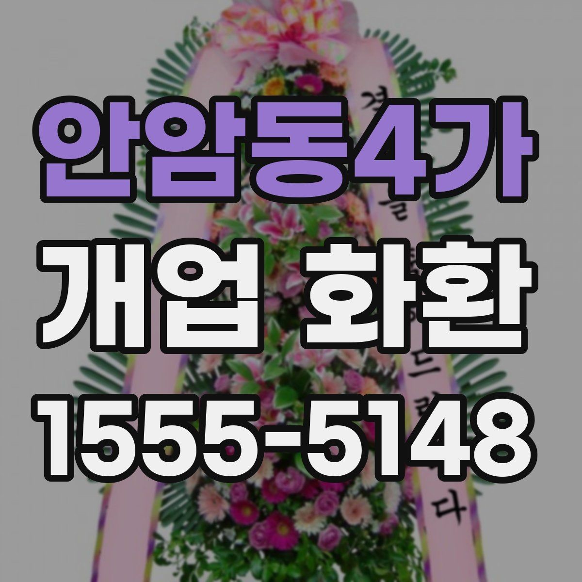 안암동4가 개업 화환 식물 상태를 확인하는 기준