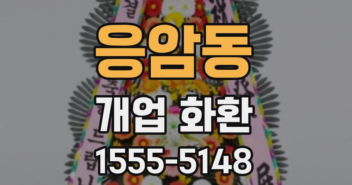 응암동 개업 화환